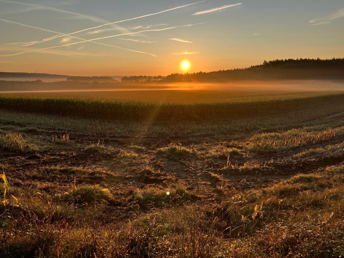 MiddlebrookDave's tweet image. I said to the man who stood at the gate of the year: “give me a light that I may tread safely into the unknown”. And he replied; “Go out into the darkness and put your hand into the Hand of God. That shall be to you better than a light and safer than a known way”. Minnie Haskins