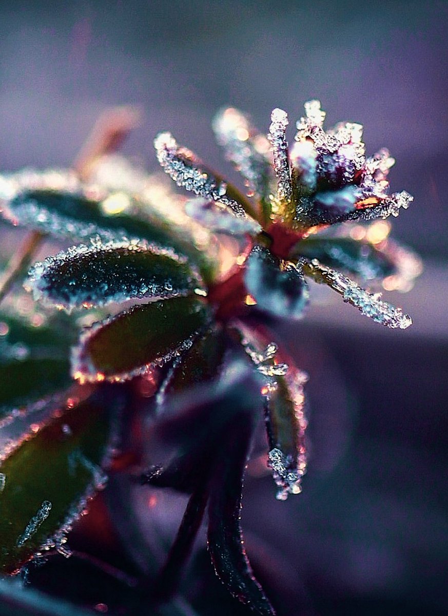 <a href="/Sam_Alexandra23/">Stephanie Alexandra</a> This is really a hard task! 😂 Well my choice if limitted on 4 . Best of 2025.