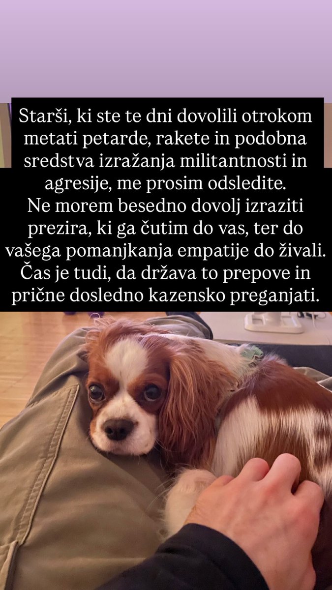 tomatokosir's tweet image. 