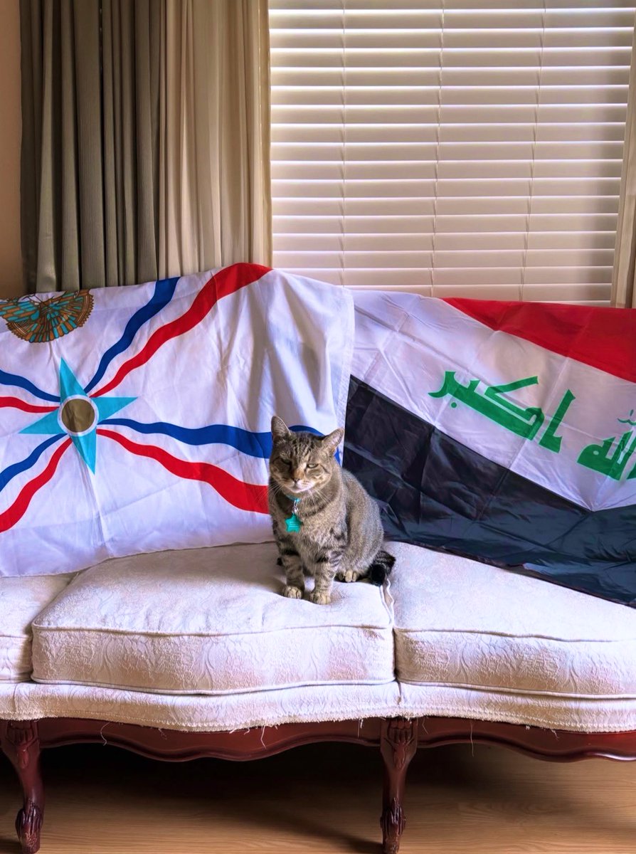 ‏𝐅𝐀𝐃𝐈𒉺𒁲 tweet media