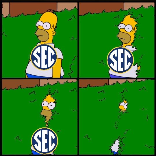 UFDFF's tweet image. 