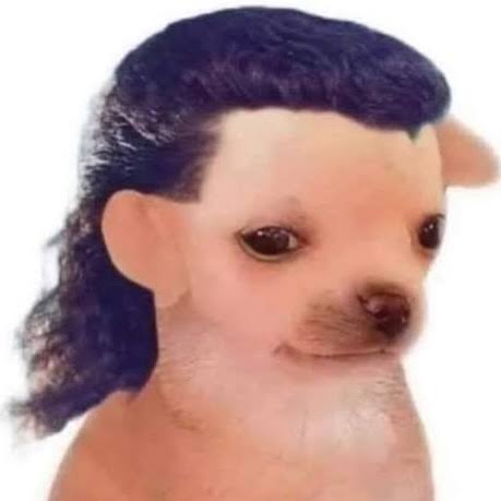 TuExdeVerdad's tweet image. Mi primo que viene de Estados Unidos a la cena de fin de año:
#FelizAnoNuevo2026