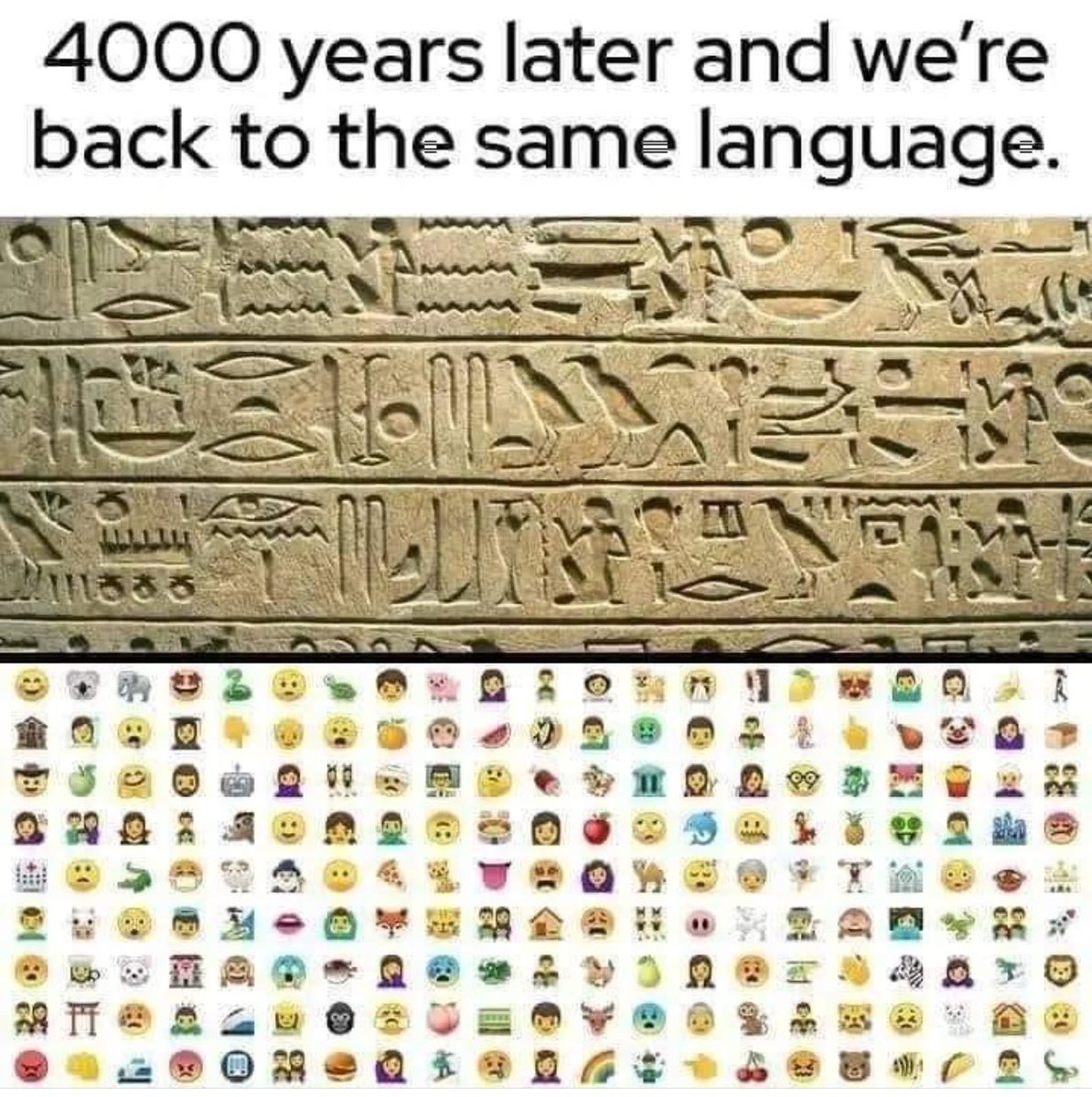 𓂀AntZ𓆃 tweet media