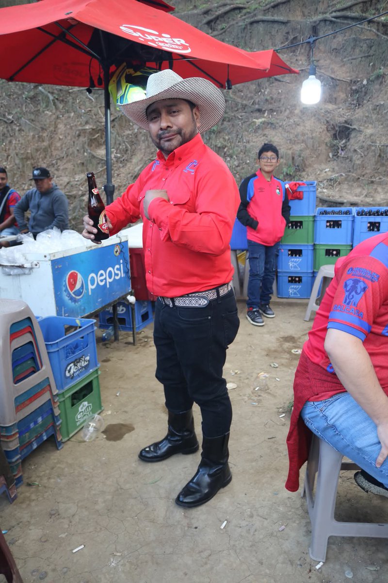 Mr. Pelos tweet media