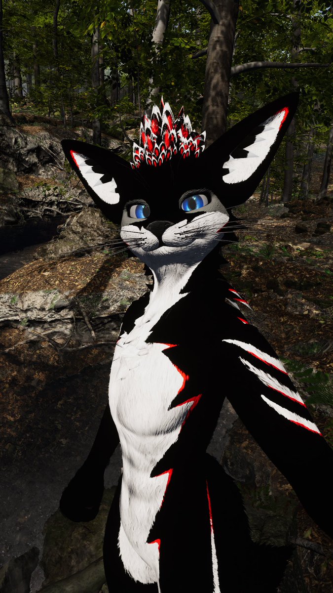 Itz tomvic tweet media