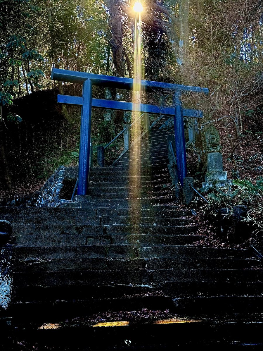 浜ん様 tweet media