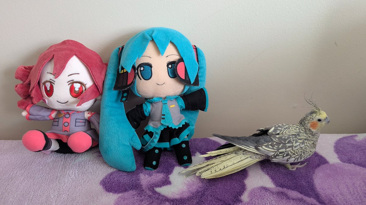 Creationmelbell's tweet photo. Teto, Miku, and the yellow one.
#VOCALOID https://t.co/idZ4qa5HRf