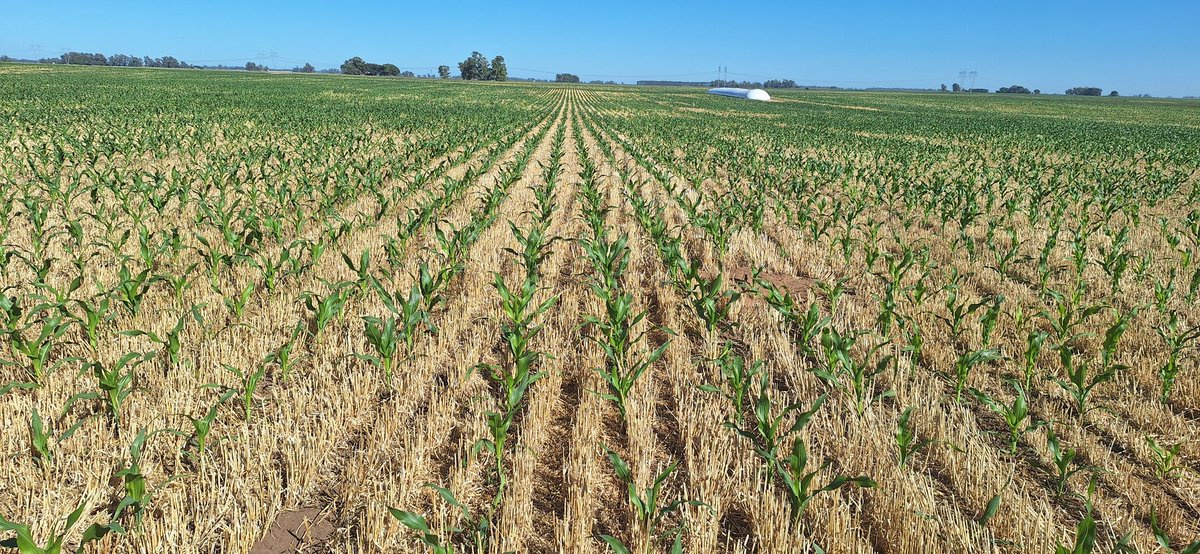 ¡Que calor!!! .... y yo con este anillo. (Decía uno que se había casado y nadie le preguntaba nada).