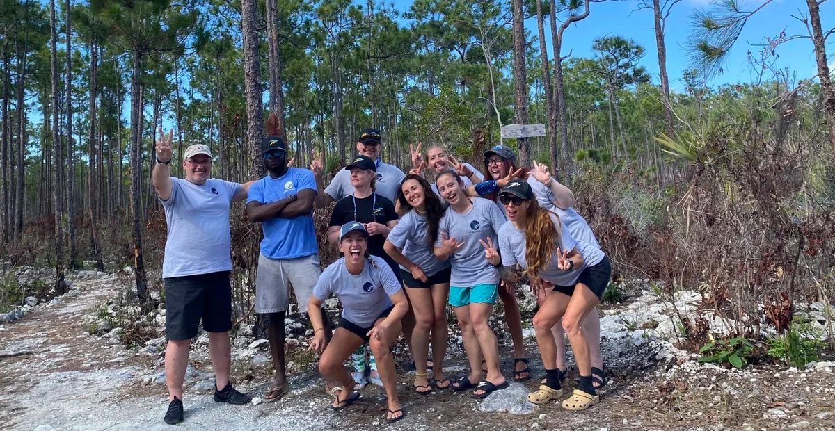 sharkresearchst's tweet photo. Thank you to all who supported us this year! Whether you joined a trip, adopted a shark, purchased some clothing or simply donated to our Andros property project, WE APPRECIATE YOU so much 💙 

Strap yourself in for 2026, our plans to build a shark research station are a hard GO! https://t.co/p1yn6aDkiw