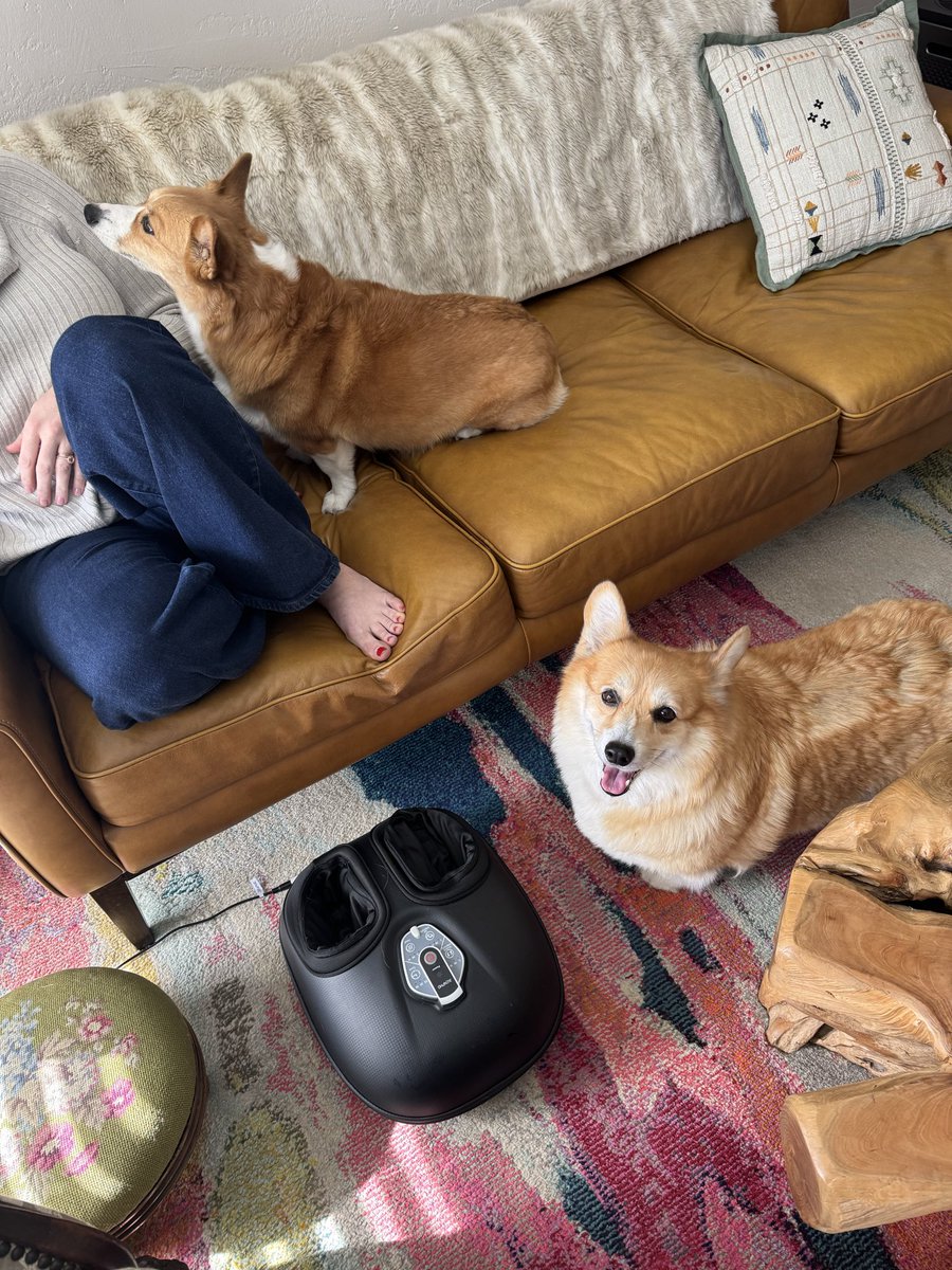 Raider Shackelford🌵🏴‍☠️🦅🦅🫓#15to1 tweet media