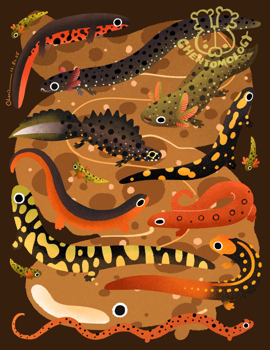 czbugsart's tweet image. Happy Newt Year! 

It’s my last piece of artwork of 2025, and it’s already 2026 in a lot of places! I’m feeling so lucky to have your support and I’ll keep sending out my little critters to everyone with the love of bugs and nature!