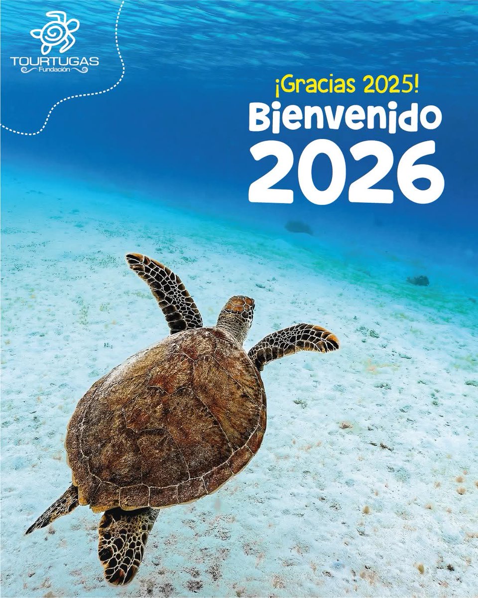 ¡Cerramos un año increíble! El 2025 nos ha dejado con el corazón lleno y el caparazón bien puesto. ¡Mil gracias a todos! 🥰 

¡Salud por un 2026 🥂lleno de caparazones fuertes, mares limpios y 
#TortugasMarinas 
#FelizAnoNuevo2026