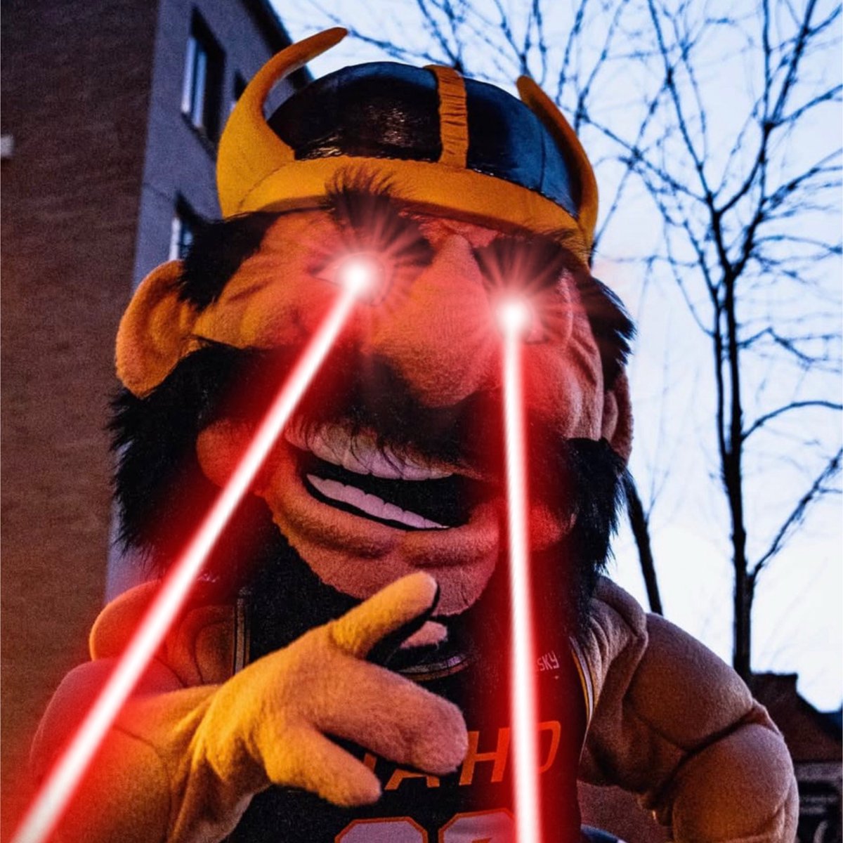 AngrierWave's tweet image. So all bear down for Idaho