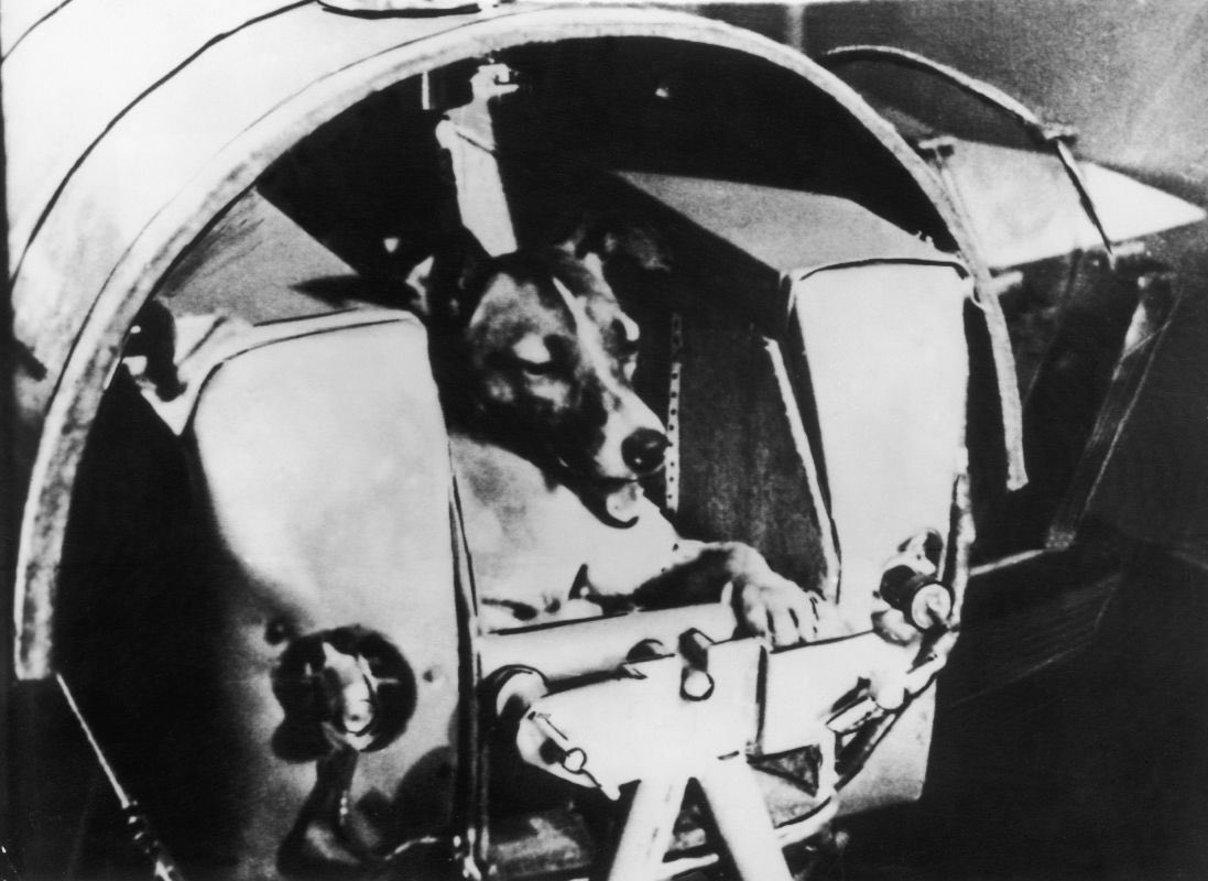 LylLstnrRobert's tweet image. The First All Female Space Crew
Laika
November 3, 1957