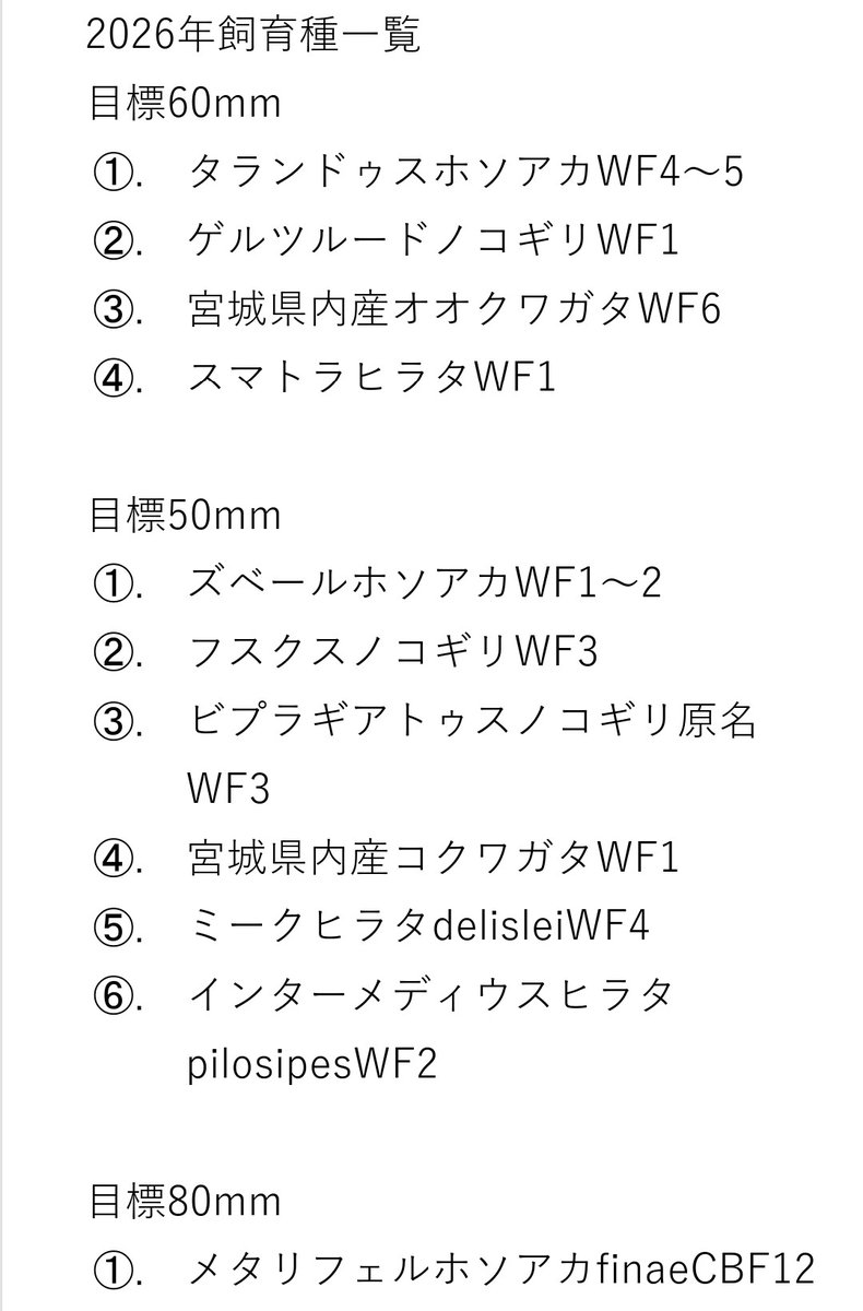 ハラヘッタナ小野 tweet media