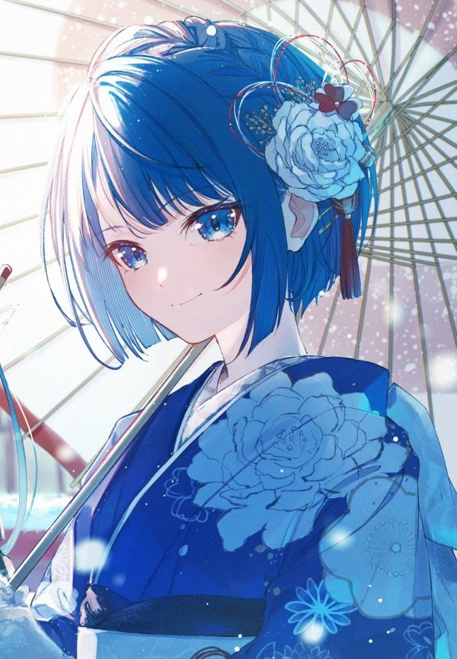 haruka♡さま専用 West Japan Railway Company - Limited Express HARUKA 30th