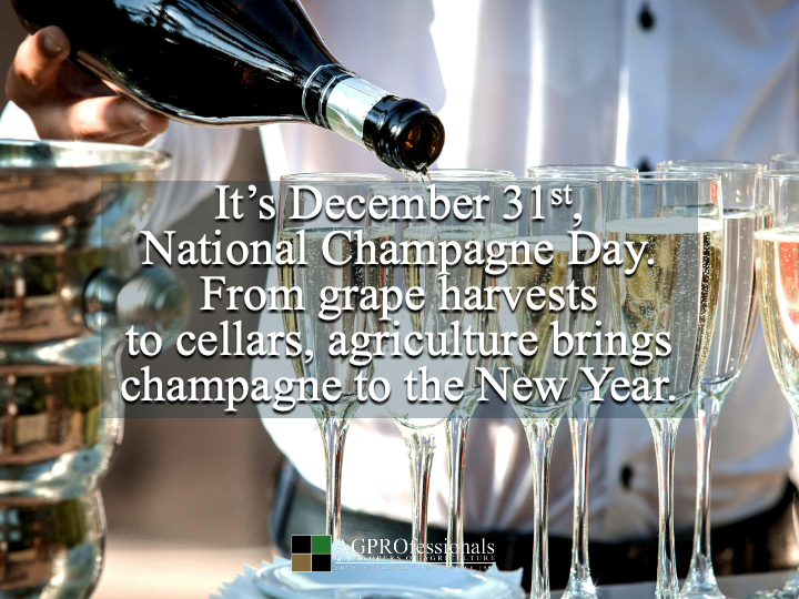 🥂 National Champagne Day celebrates vineyards, growers, and the agriculture behind every bubble.
#NationalChampagneDay #ThankAFarmer