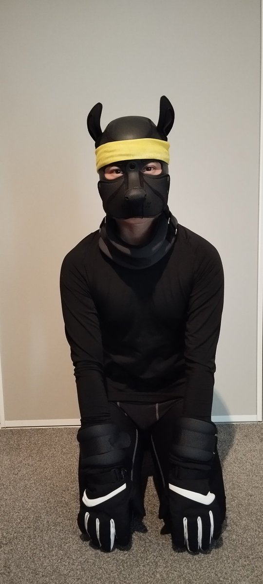 Xylonnz's tweet photo. Puppy Xylon on duty.
What should I do next? https://t.co/iru4ojIQcc