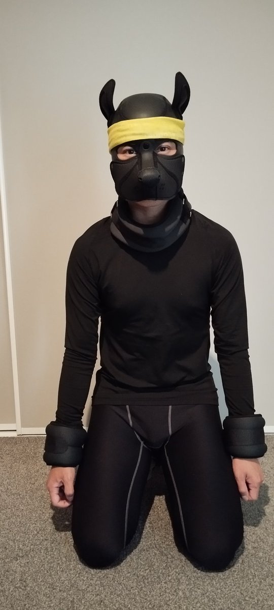 Xylonnz's tweet photo. Puppy Xylon on duty.
What should I do next? https://t.co/iru4ojIQcc