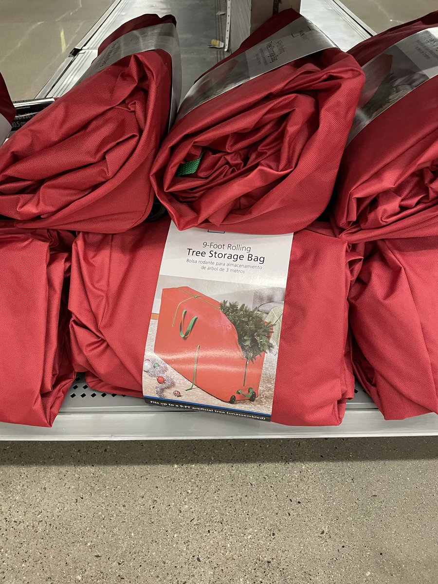 Saw these for $20 at Walmart. Looks like it would be great for storing PE equipment. Going to go back after the new year to see if it is on sale for even less and might pick up a couple! #physed