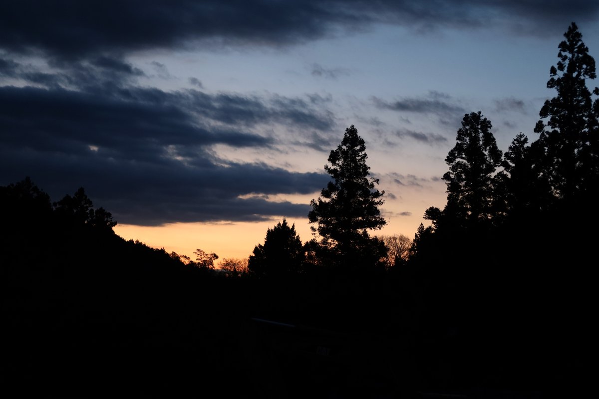 2026年、気持ちのいい朝を迎えることができました。
本年度もどうぞ宜しくお願い致します。