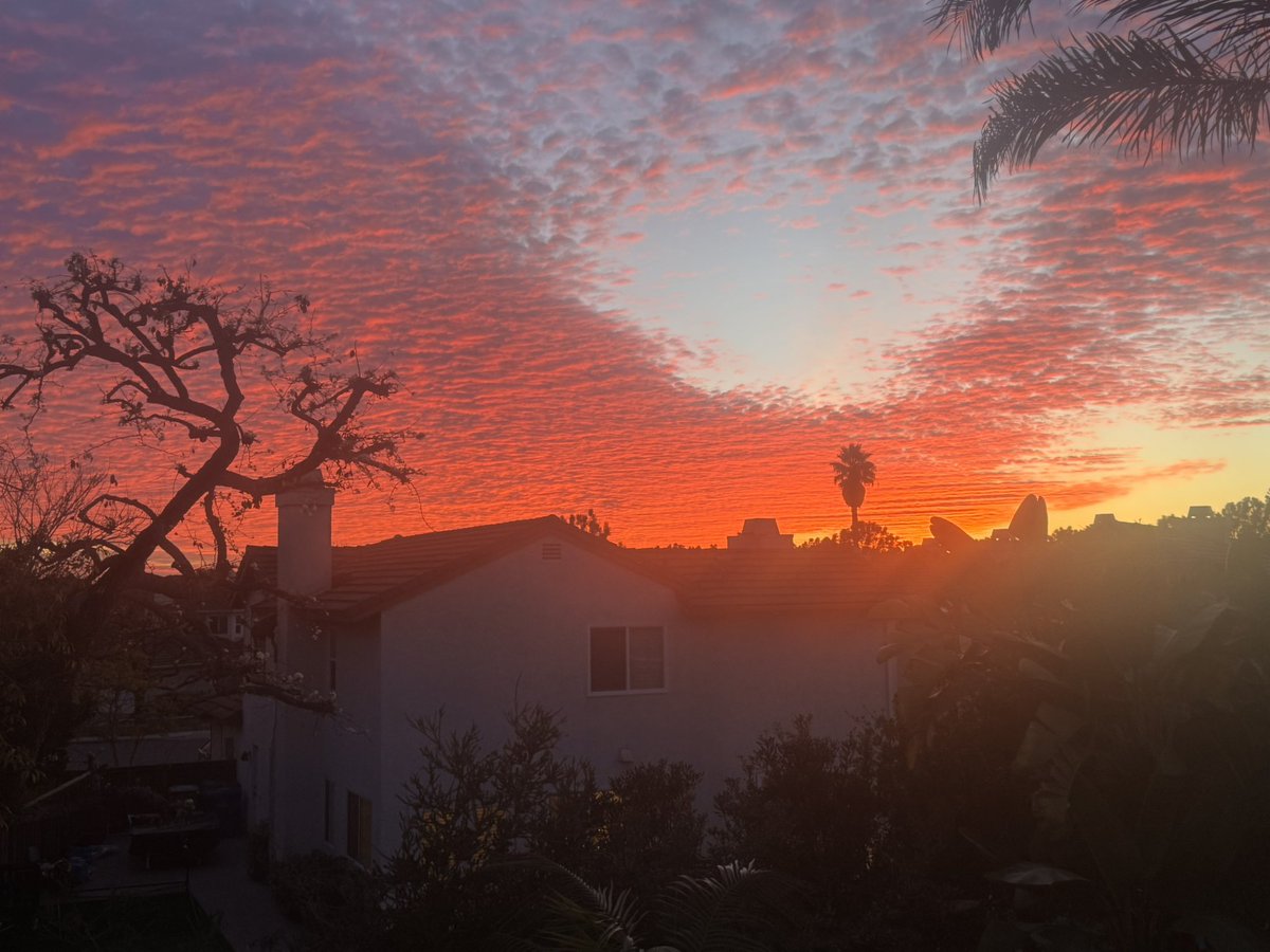 bo (@superbadass192) on Twitter photo 