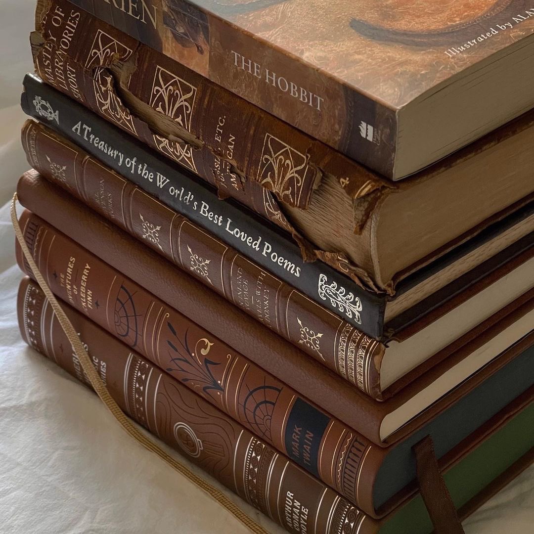 luaereads's tweet image. ⋆.˚ ☾⭒.˚ lidos de 2026
              ⟢  a thread.

“eu vivi mil vidas e amei mil amores. andei por mundos distantes e vi o fim dos tempos. porque eu li.“