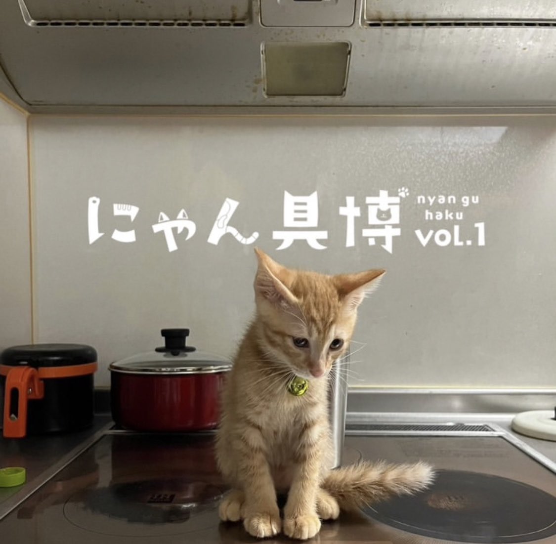 nyanguhaku's tweet photo. ＼🎍新年のご挨拶🎍／

みにゃさま、
あけましておめでとうございます☀️

にゃん具博vol.1開催📢

かわいくて心ときめく貓モチーフの文具・雑貨が勢ぞろい📒

２／１３から２／１５までの3️⃣日間で
「銀座洋協ホール」で開催🎪
みにゃさま、ぜひご参加ください🌷 https://t.co/eHSp8Spp8g