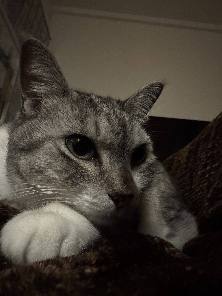 明けましておめでとうございます✨
今年も宜しくお願いします🙇