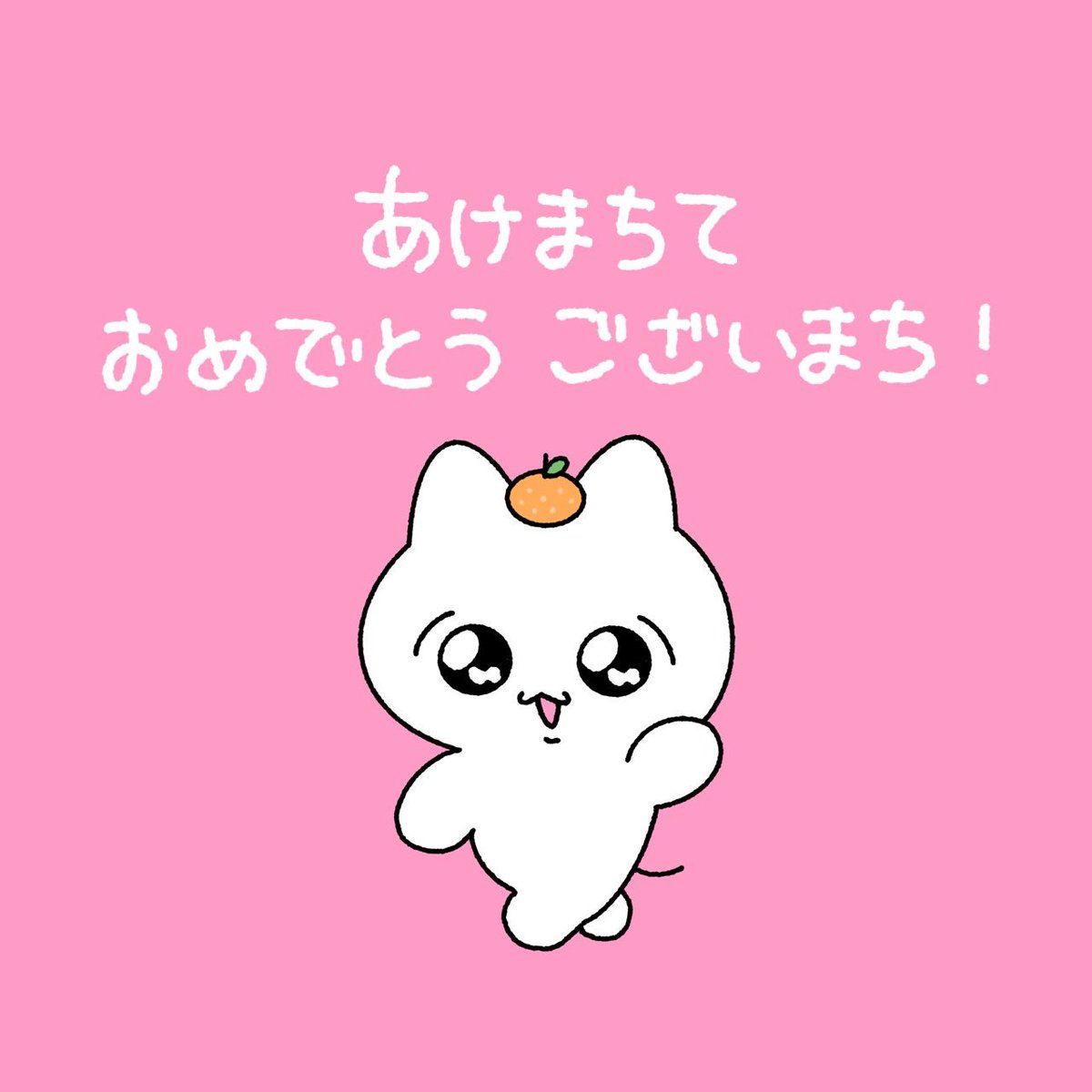 まいにちみーちゃん tweet media