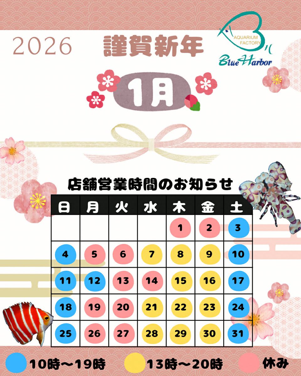 AF_BlueHarbor's tweet image. 新年おめでとうございます

昨年はたくさんのご来店、通販のご利用誠にありがとうございました
2026年も生体含む良いアイテムたちをご案内していきたいと思います
今年もよろしくお願いいたします！

初売りは3日（土）10時から
皆様のご来店、通販のご利用をスタッフ一同お待ちしております