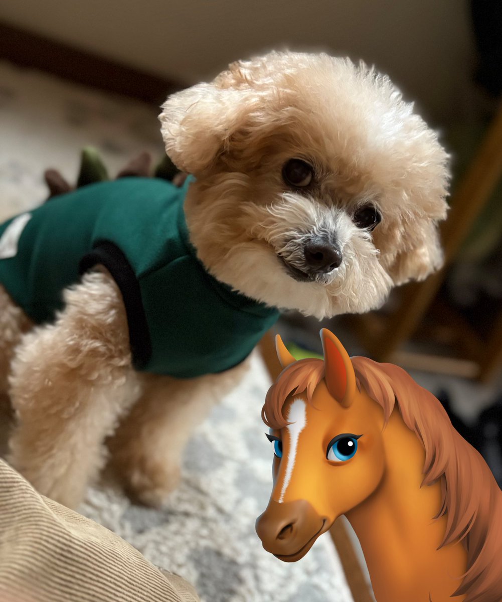 明けましておめでとうワン🐶 今年も仲良くしてワン♪