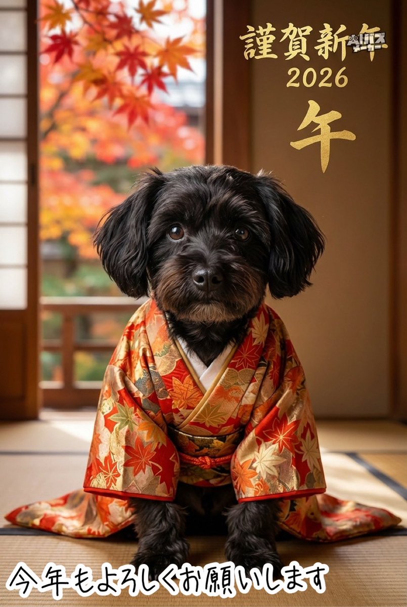 rootak2's tweet photo. あけましておめでとうございます。
今年もよろしくお願いします。ꕤ︎︎·͜· https://t.co/PiezlNNIGU