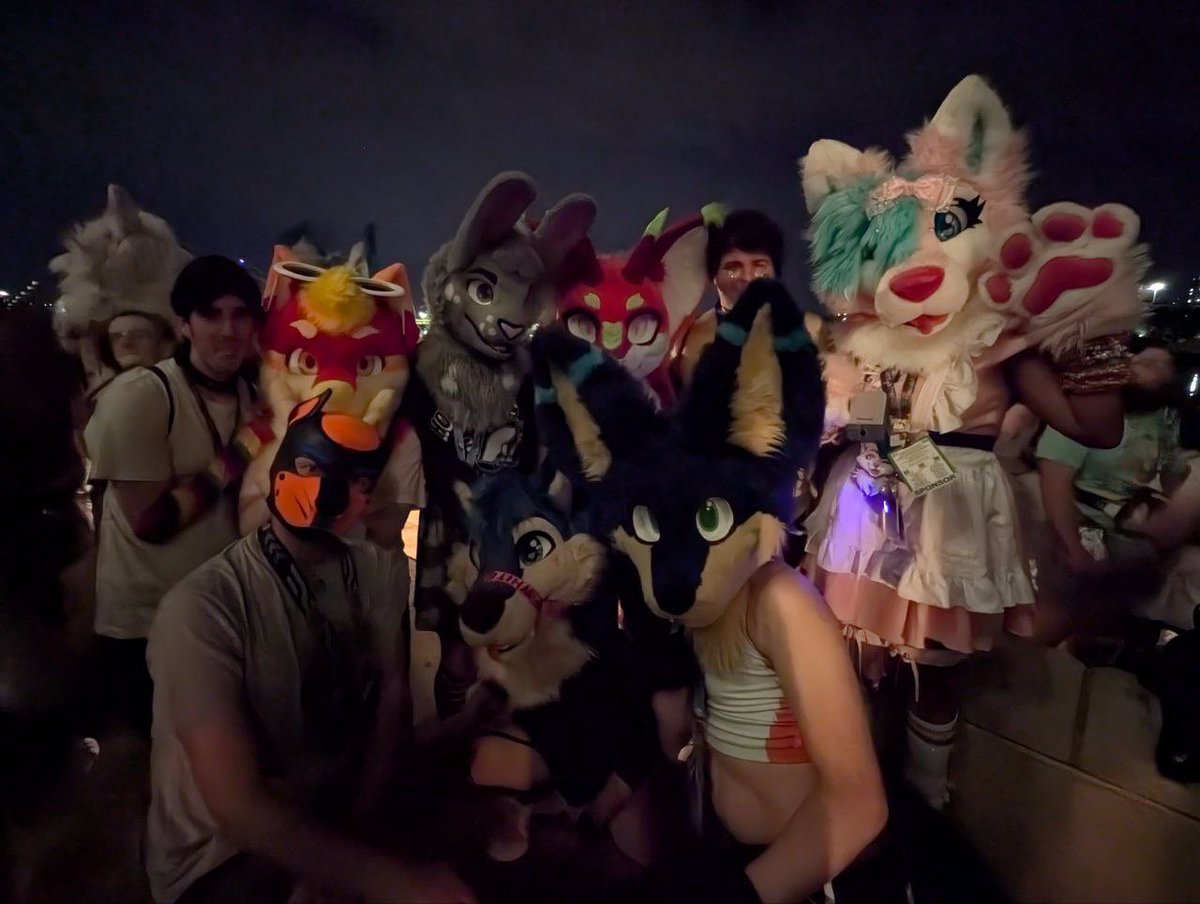 DWUH?? 🔜 LVFC tweet media