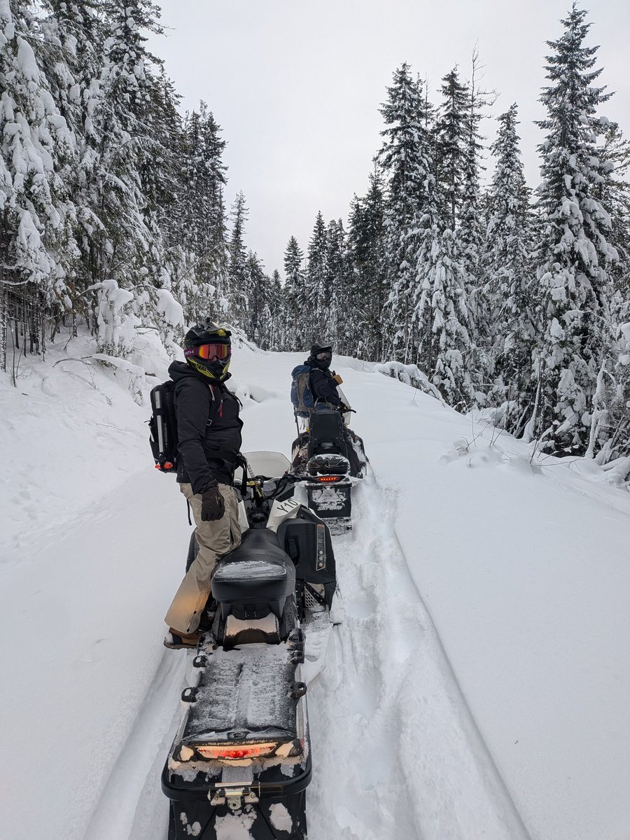 Had an absolutely fantastic day in the back country, great snow and untouched trails. Happy New Year everyone !!!