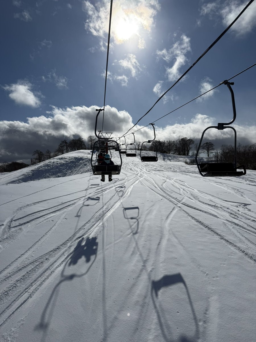 シャイ tweet media