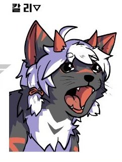 억울한 아샤와 칼리를 집에 데려가세요👍