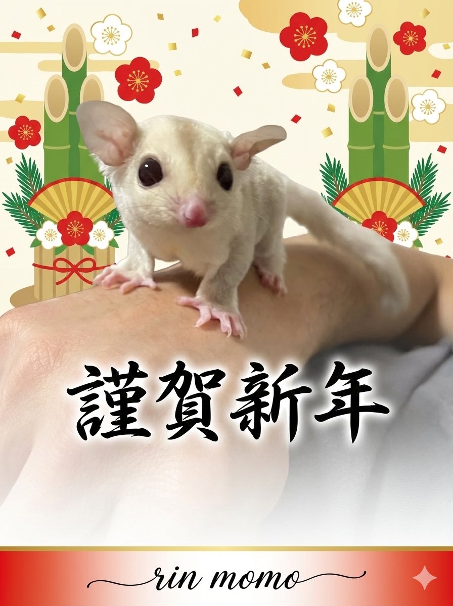 rin momo♡モモンガポーチ屋さん/静レプ出店します☺︎ (@rinmomo0107