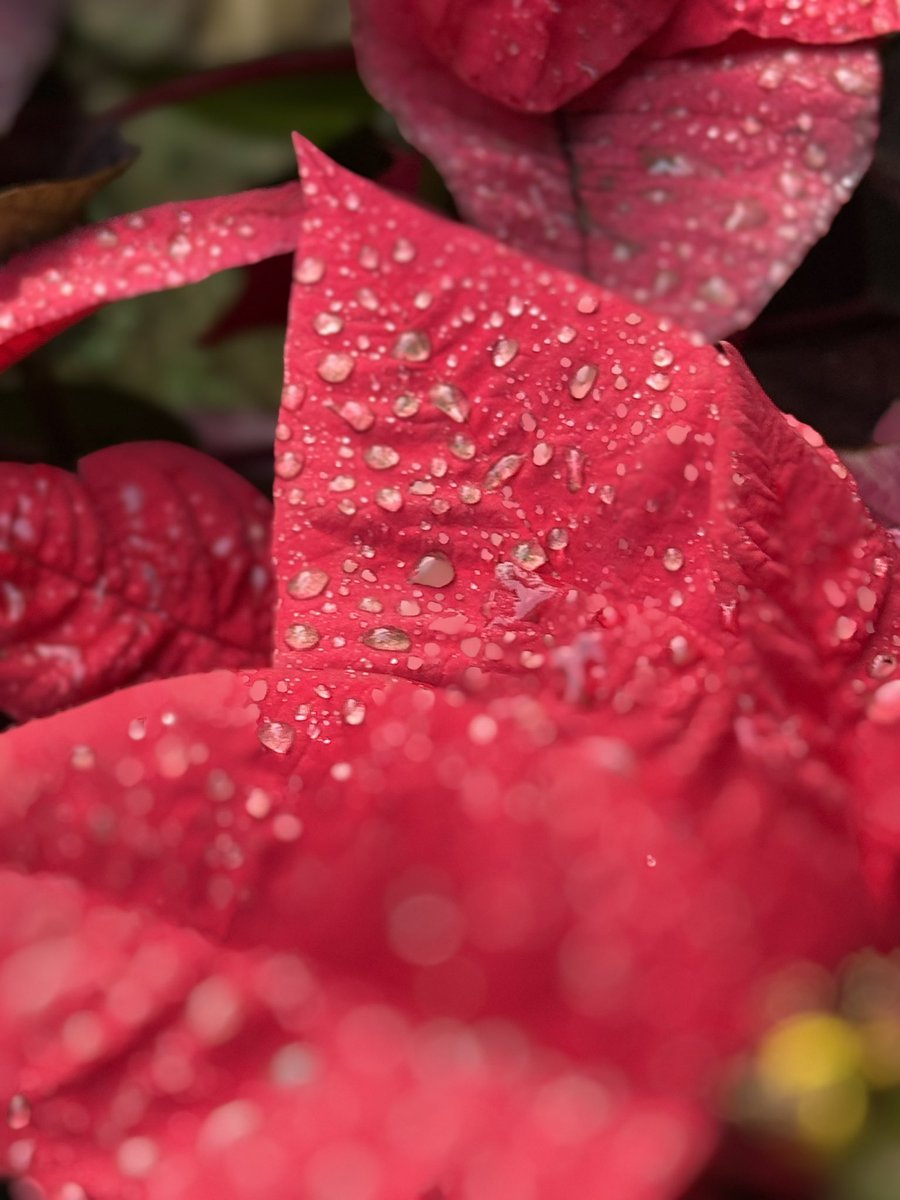 Arti Dogra tweet media