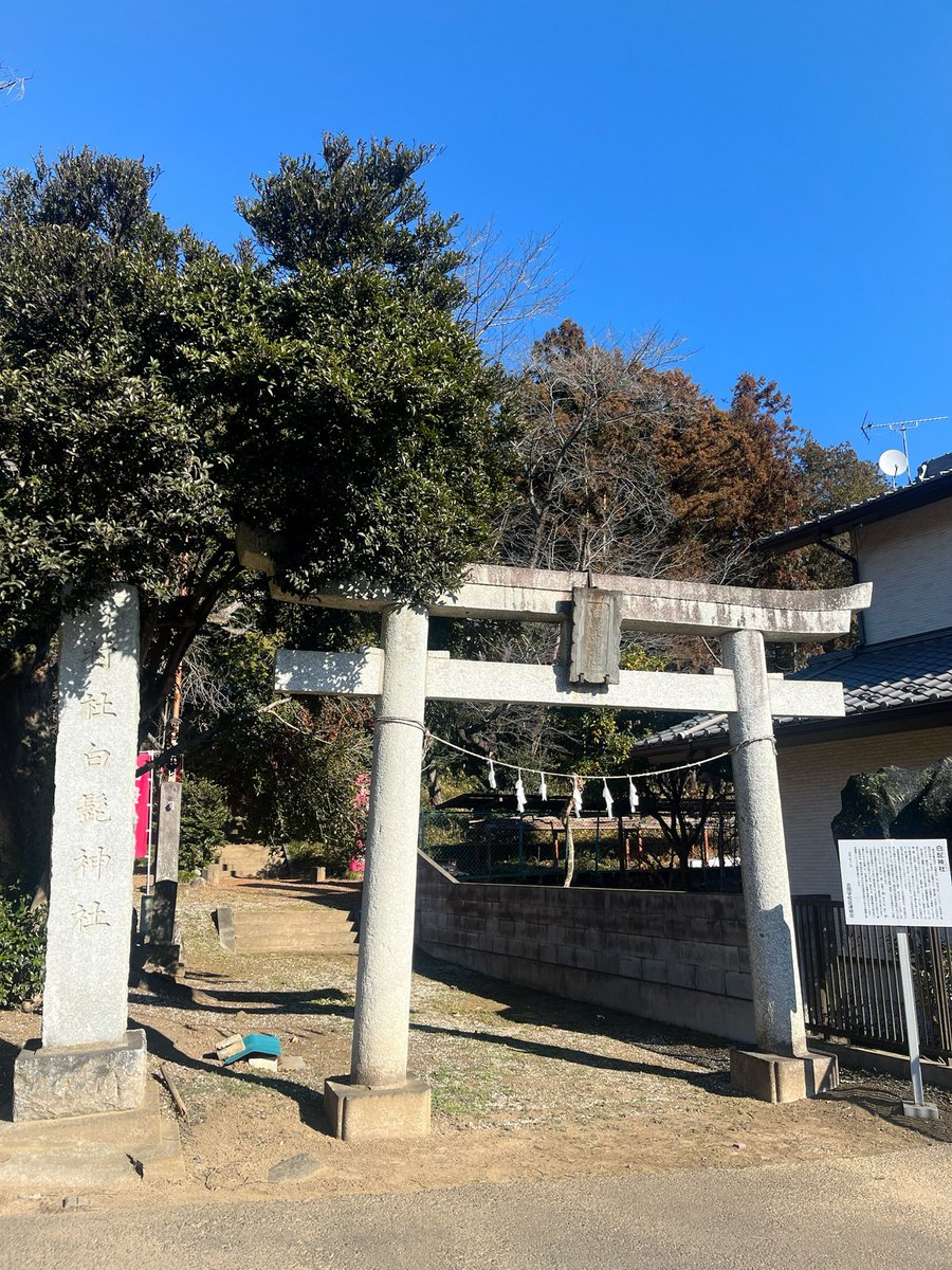 山本あやめ tweet media