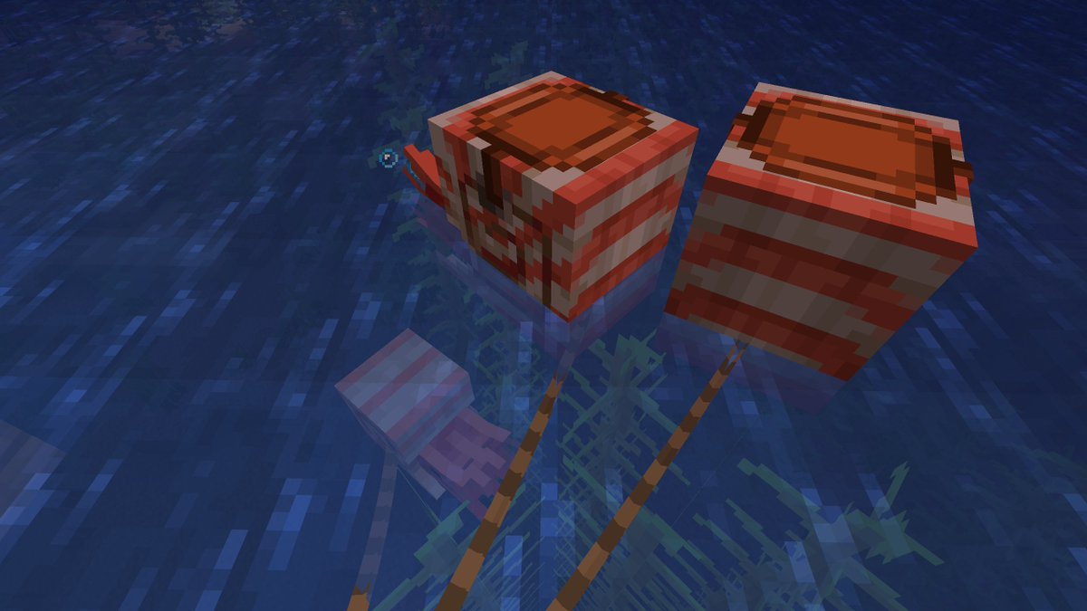 Roozilla tweet media