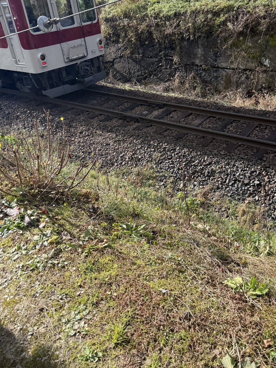 ChhiF's tweet image. 元旦からエセ撮り鉄失敗( ˟ ⌑ ˟ )
今年もよろしくお願いします🙏