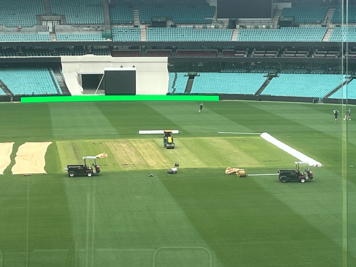 SCG pitch three days out. 

#Ashes