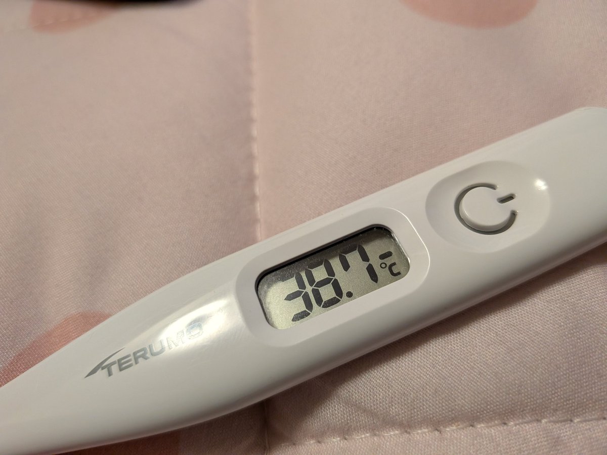 新年明けましておめでとうございます✨2026年も宜しくお願い申し上げ