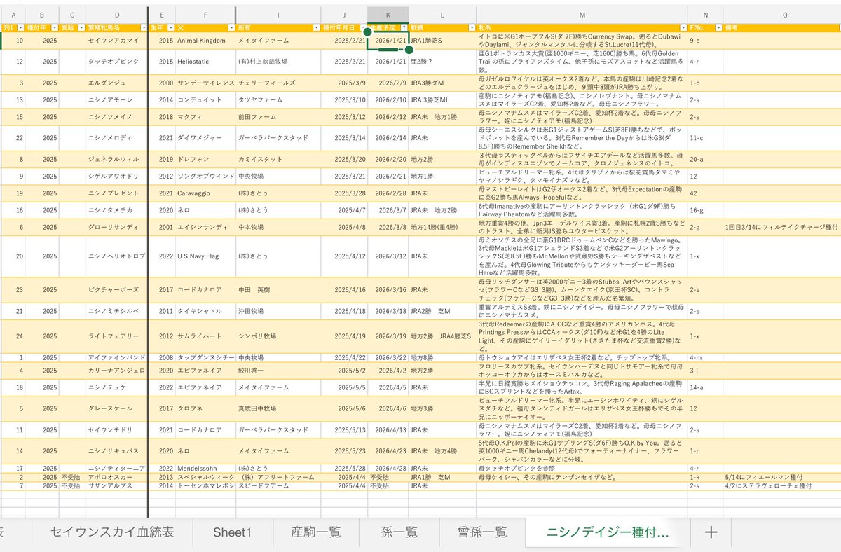 改めまして2026年もよろしくお願いいたします。 本年が皆様にとって