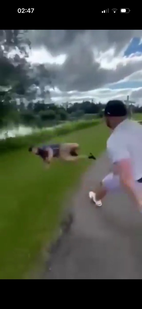 Nick Marshall tweet media