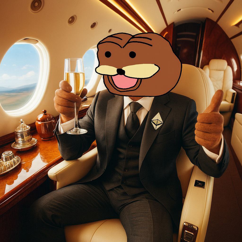 买傻币得傻福spurdo tweet media