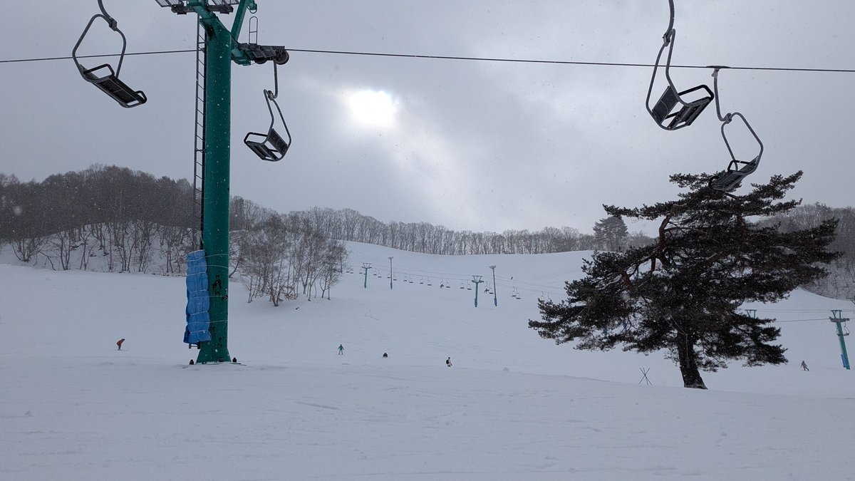 なじなで tweet media