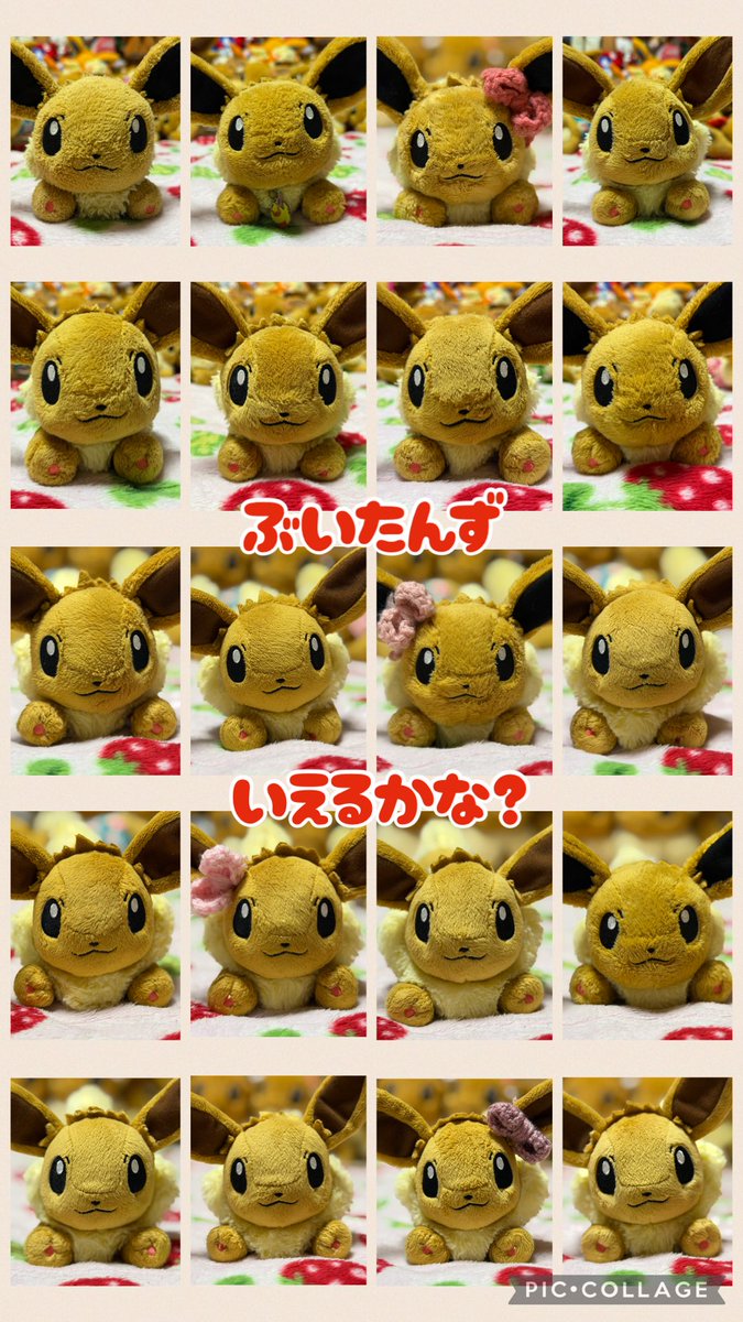 ぶいぶい♡⧫(◕ ˑ̫◕)⧫♡ tweet media