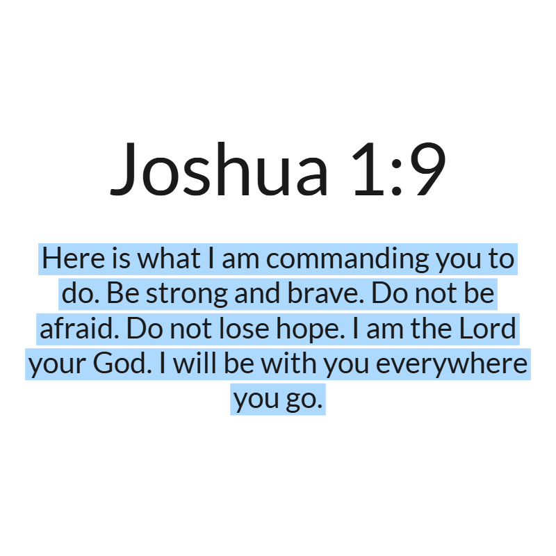 #LadyOfLadies BEZO tweet media